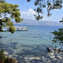 фото из отзыва ID 2633876