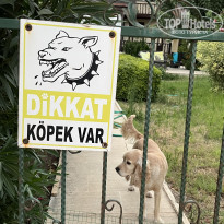 фото из отзыва ID 2633876