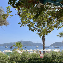 фото из отзыва ID 2633876