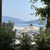 фото из отзыва ID 2633876