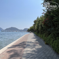 фото из отзыва ID 2633876