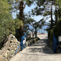 фото из отзыва ID 2633876