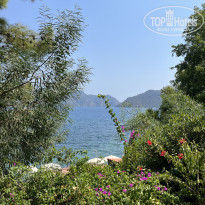 фото из отзыва ID 2633876