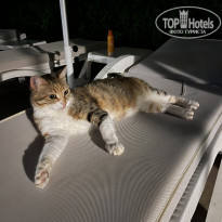 фото из отзыва ID 2633876