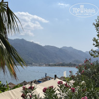 фото из отзыва ID 2633876