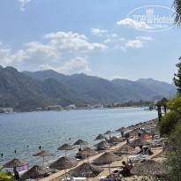 фото из отзыва ID 2633876