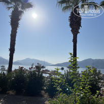 фото из отзыва ID 2633876