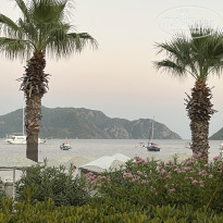 фото из отзыва ID 2633876