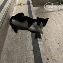 фото из отзыва ID 2633876