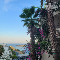 фото из отзыва ID 2634270