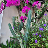 фото из отзыва ID 2634270