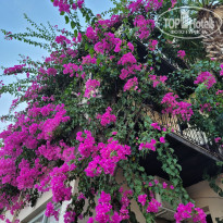 фото из отзыва ID 2634270