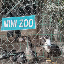 фото из отзыва ID 2634270