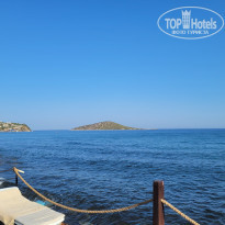 фото из отзыва ID 2634270