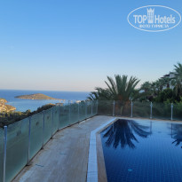 фото из отзыва ID 2634270