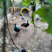 фото из отзыва ID 2634270