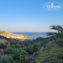 фото из отзыва ID 2634270