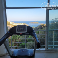 фото из отзыва ID 2634270