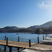 фото из отзыва ID 2634270