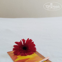 фото из отзыва ID 2634278