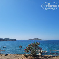 фото из отзыва ID 2634270