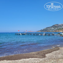 фото из отзыва ID 2634270