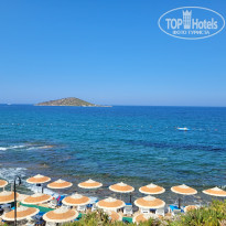 фото из отзыва ID 2634270