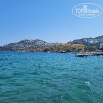 фото из отзыва ID 2634270