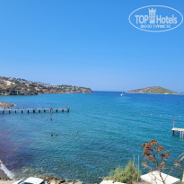 фото из отзыва ID 2634270