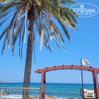 фото из отзыва ID 2634270