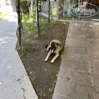 фото из отзыва ID 2634457