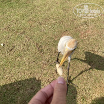 фото из отзыва ID 2634510