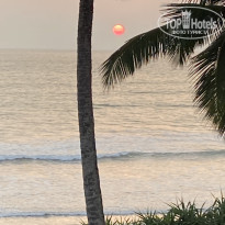 фото из отзыва ID 2634510