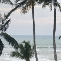 фото из отзыва ID 2634510