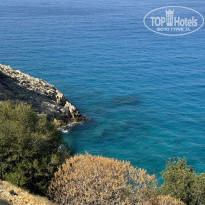 фото из отзыва ID 2634655