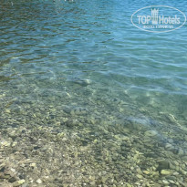 фото из отзыва ID 2634665