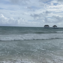 фото из отзыва ID 2634707