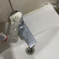 фото из отзыва ID 2635252