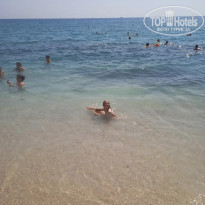 фото из отзыва ID 2635453