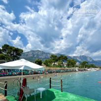 фото из отзыва ID 2635497