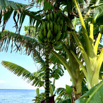 фото из отзыва ID 2635497