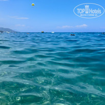 фото из отзыва ID 2635497