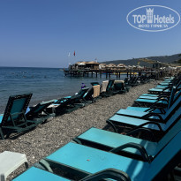 фото из отзыва ID 2635497