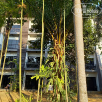 фото из отзыва ID 2635519