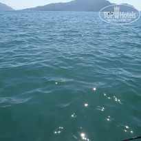 фото из отзыва ID 2635532