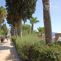 фото из отзыва ID 2635532