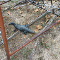 фото из отзыва ID 2635519