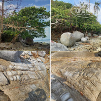 фото из отзыва ID 2635519