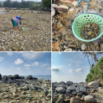 фото из отзыва ID 2635519