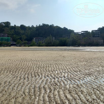 фото из отзыва ID 2635519